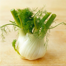 Fenouil