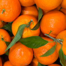 Clémentine (feuille)