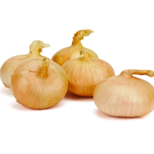 Oignon doux