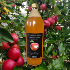 Jus de pomme 1l