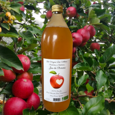Jus de pomme Bio 1l